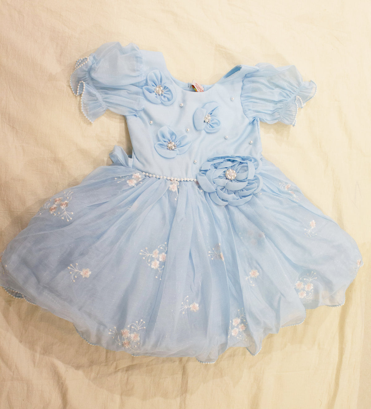 Girls Powder Blue Organza Party Dress with 3D Floral Appliqué & Pearl Embellishments